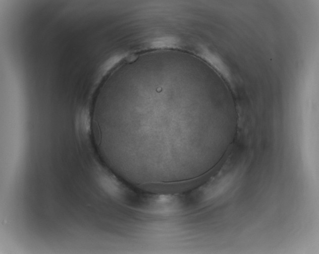 X0000111530060200907211253