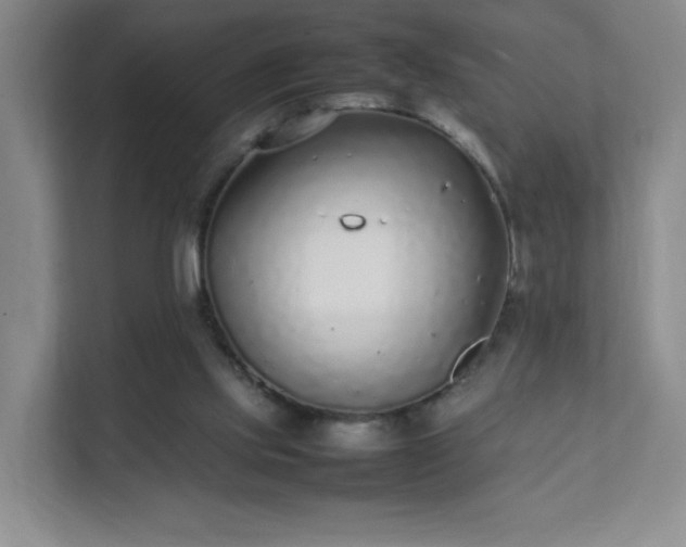 X0000111530061200907211253