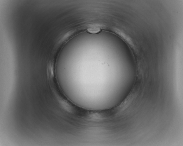 X0000111530062200907211253