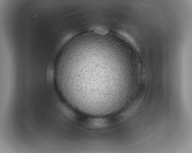 X0000111530063200907211253