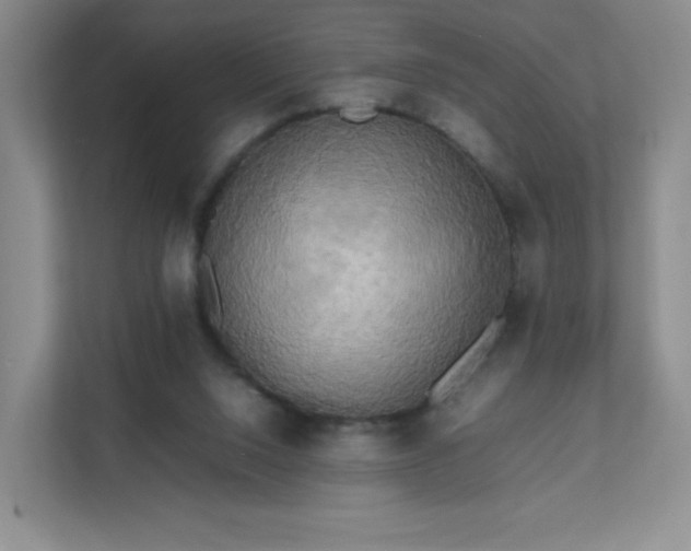 X0000111530064200907211253