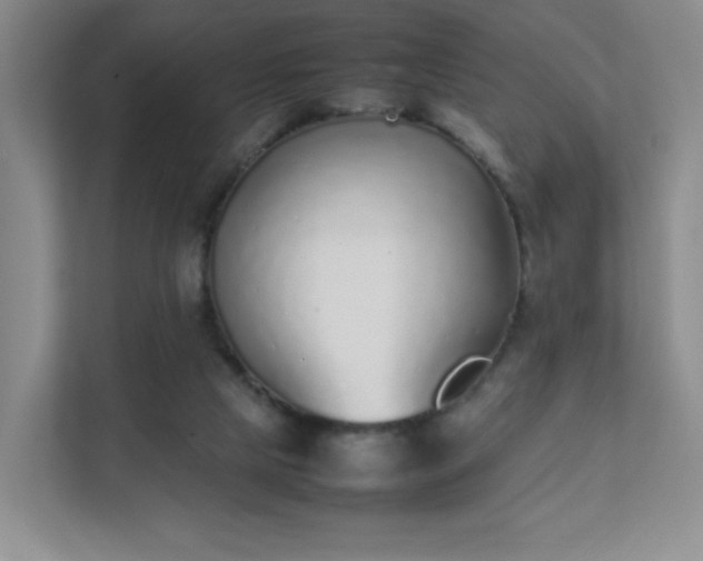 X0000111530065200907211253