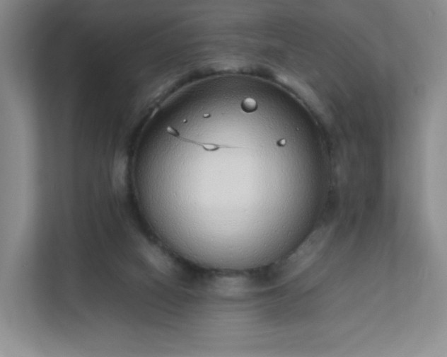 X0000111530066200907211253