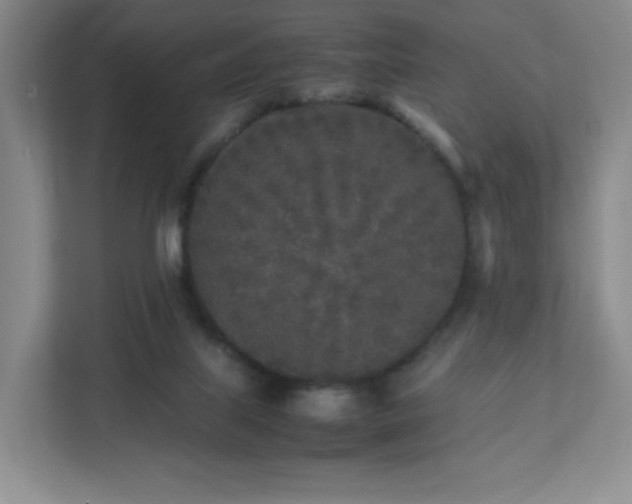 X0000111530067200907211253