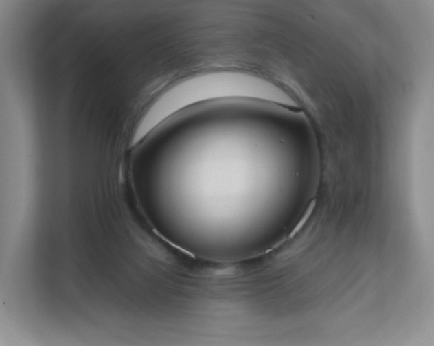 X0000111530068200907211253