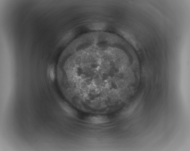 X0000111530069200907211253