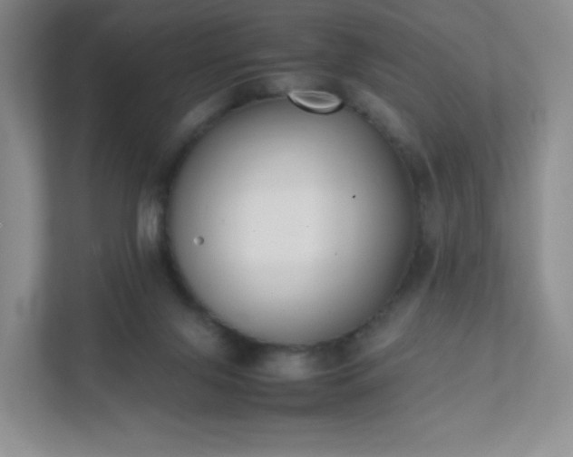 X0000111530071200907211253