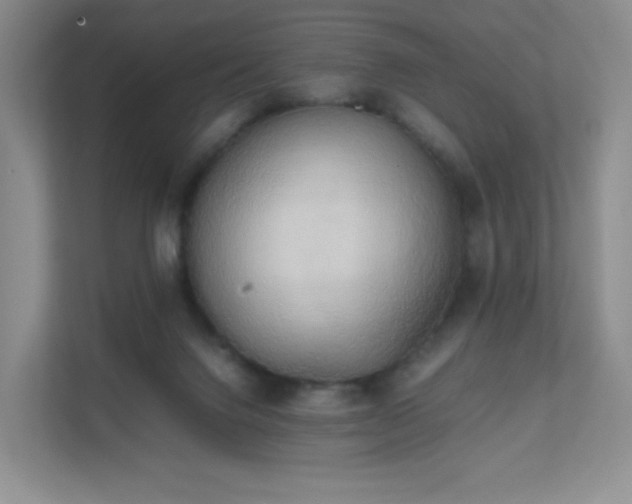 X0000111530072200907211253