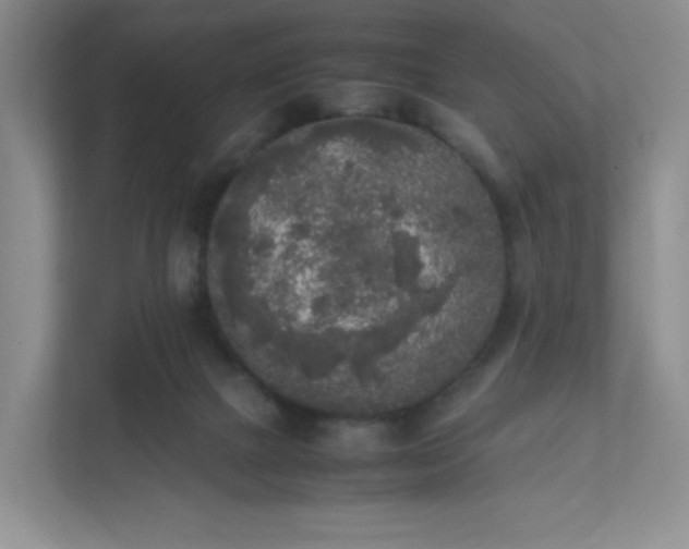 X0000111530073200907211253