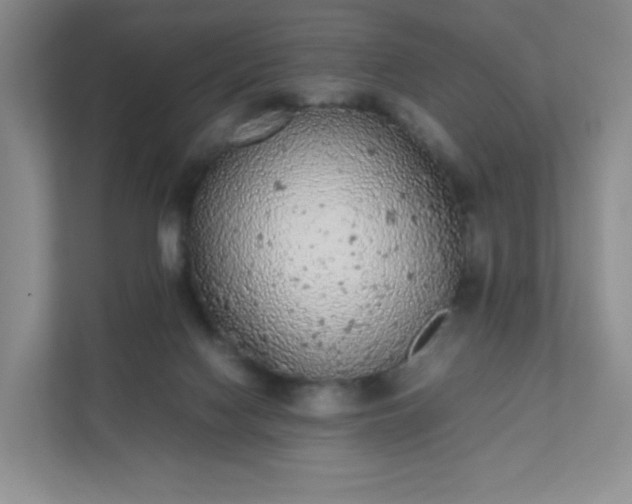 X0000111530074200907211253