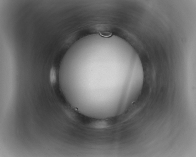 X0000111530075200907211253