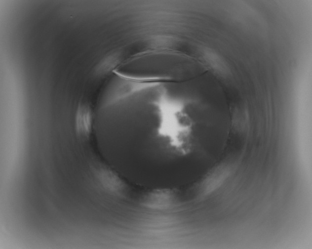 X0000111530076200907211253