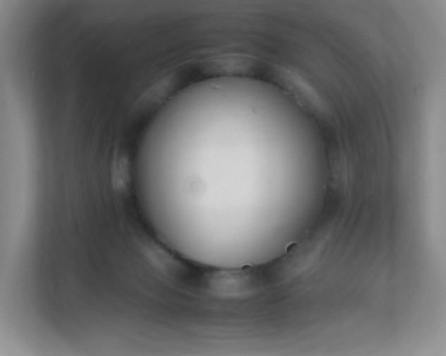 X0000111530077200907211253