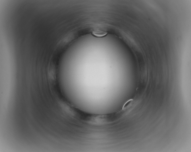 X0000111530078200907211253