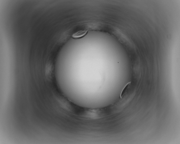 X0000111530079200907211253