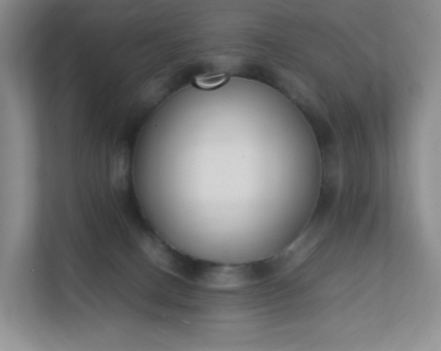 X0000111530082200907211253