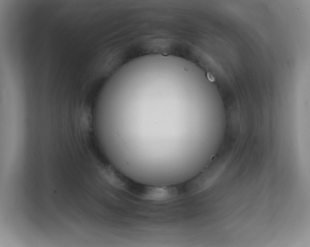 X0000111530083200907211253