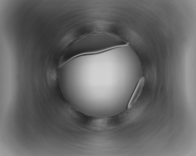 X0000111530084200907211253