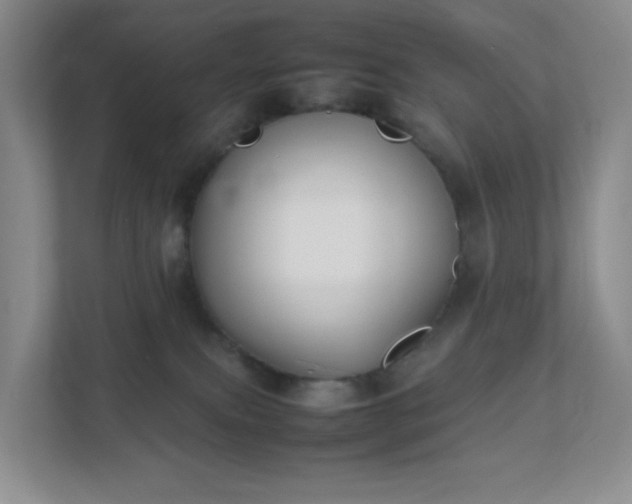 X0000111530087200907211253