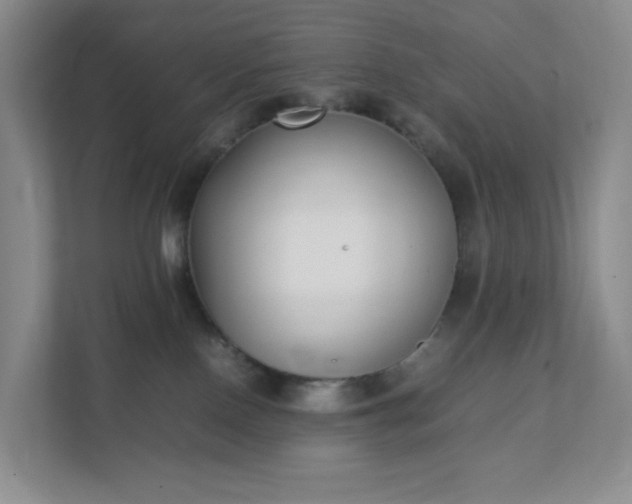 X0000111530090200907211253