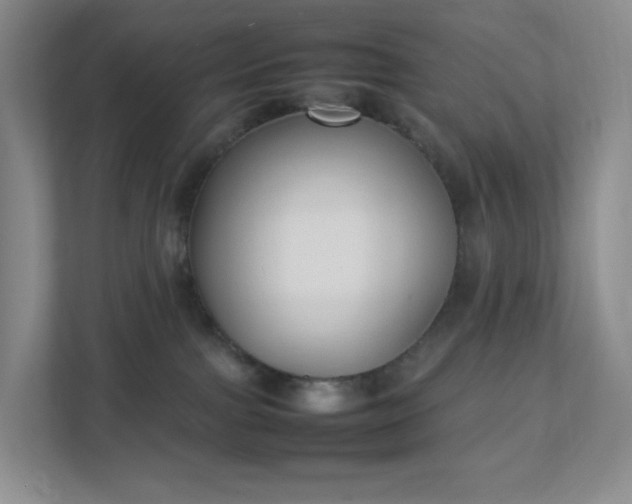 X0000111530091200907211253