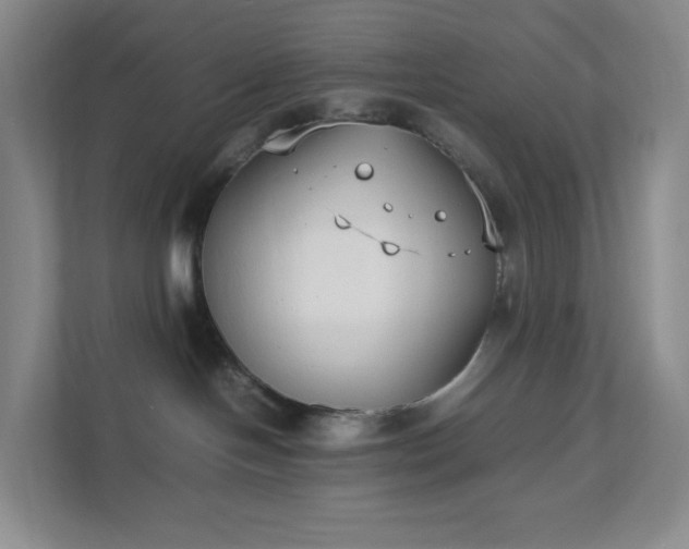 X0000111530094200907211253