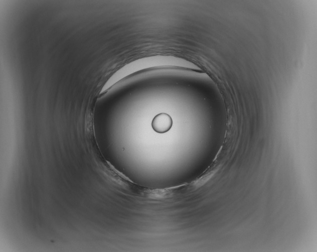 X0000111530096200907211253