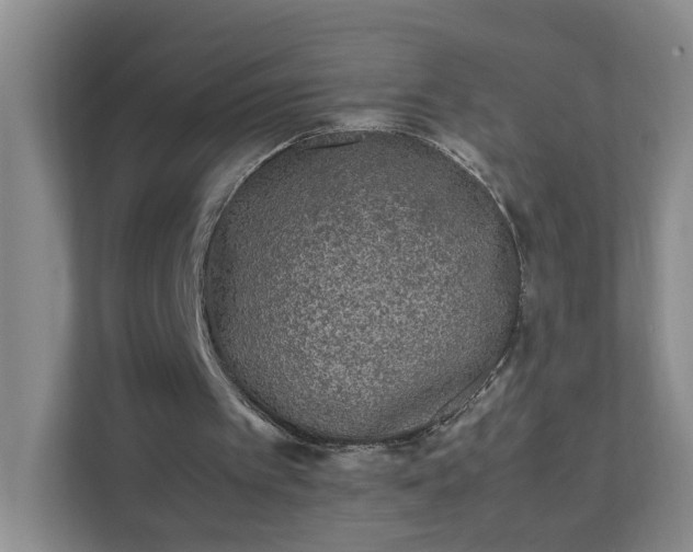 X0000111530097200907211252