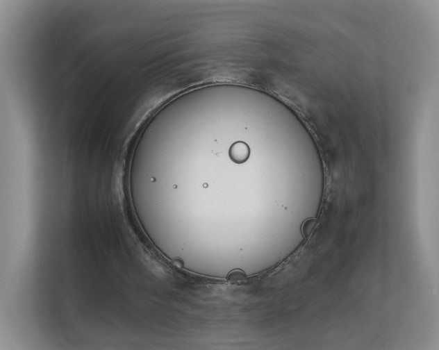 X0000111530098200907211252