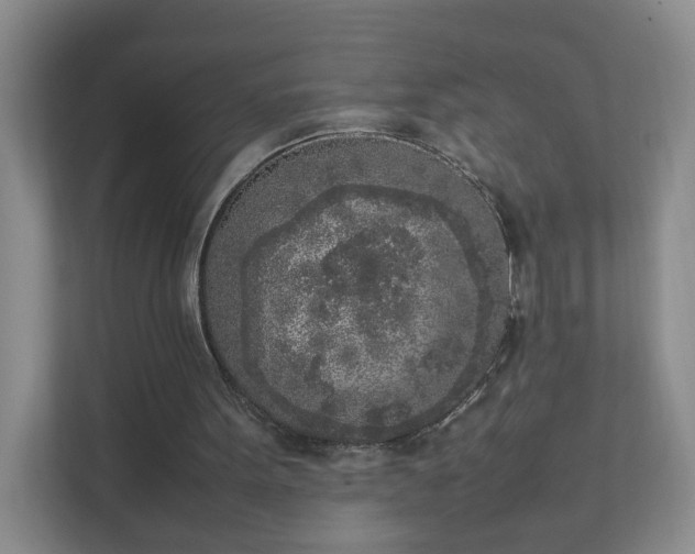 X0000111530099200907211252