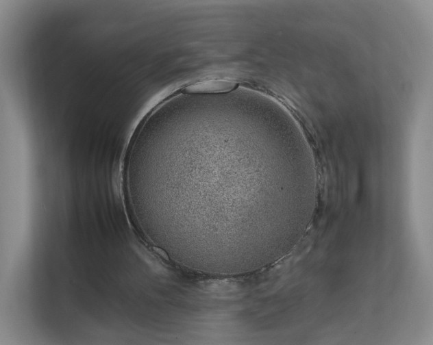 X0000111530100200907211252