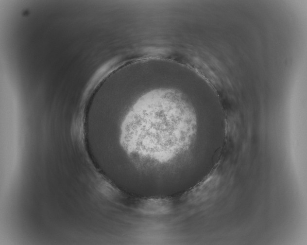 X0000111530101200907211252