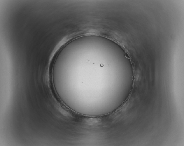 X0000111530102200907211252