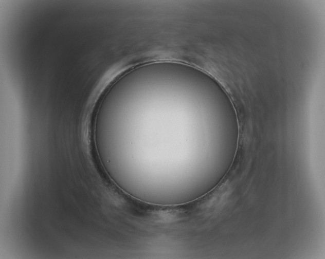 X0000111530103200907211252