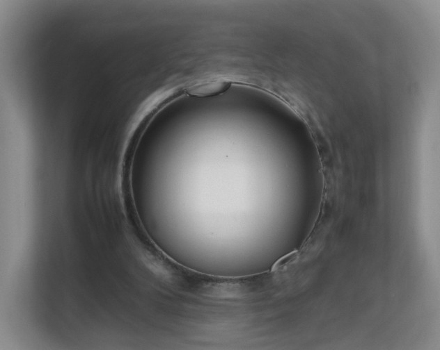 X0000111530104200907211252