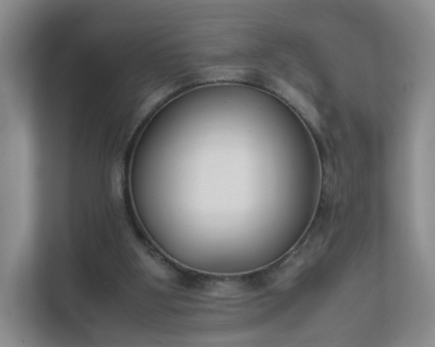 X0000111530107200907211252