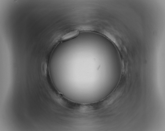 X0000111530109200907211252