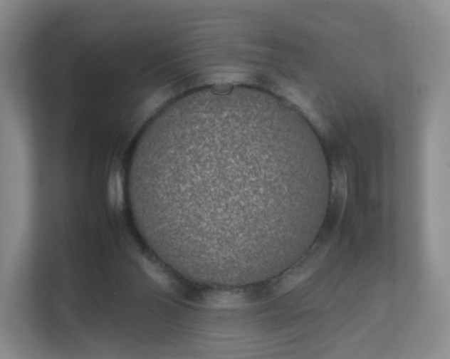 X0000111530110200907211252