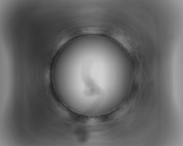 X0000111530111200907211252