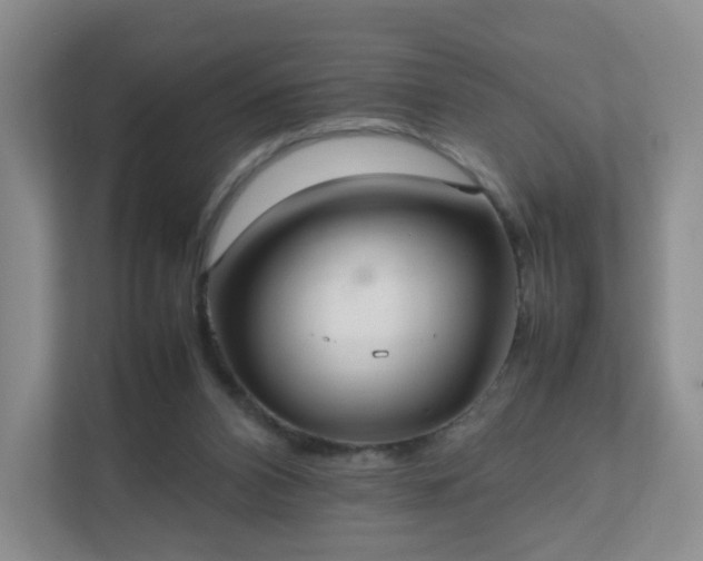 X0000111530112200907211252