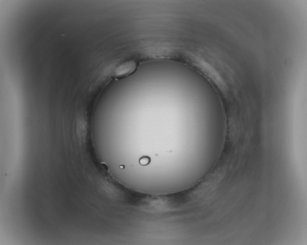 X0000111530113200907211252