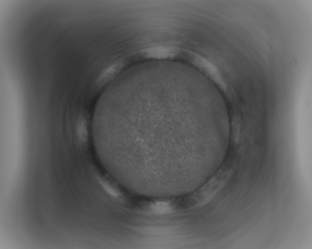 X0000111530114200907211252