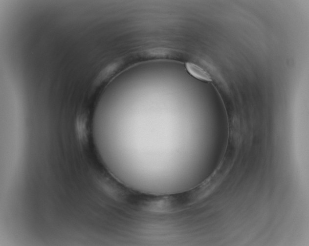 X0000111530116200907211252