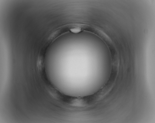 X0000111530119200907211252