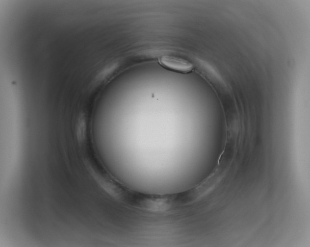 X0000111530120200907211252