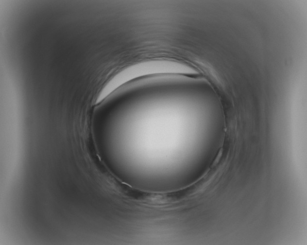 X0000111530121200907211252