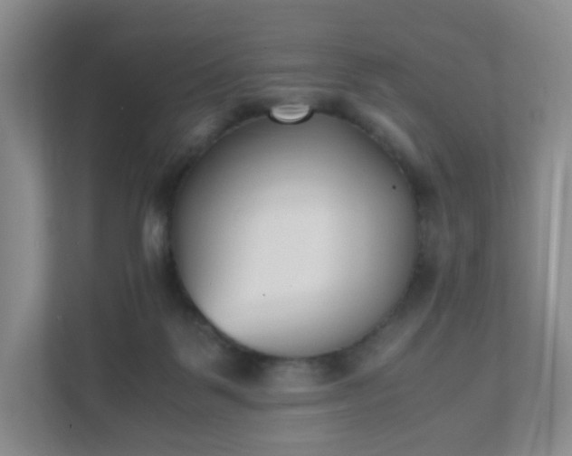 X0000111530123200907211252