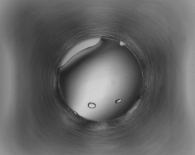 X0000111530124200907211252