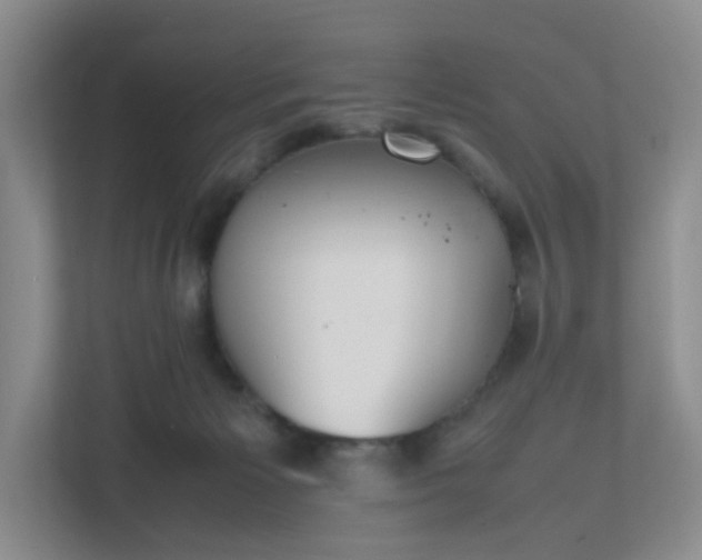 X0000111530125200907211252