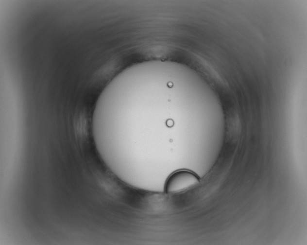 X0000111530126200907211252